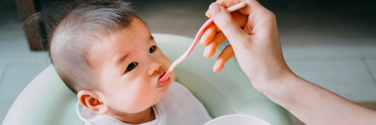 嘉宝 Gerber
