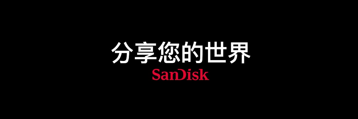 闪迪 SanDisk